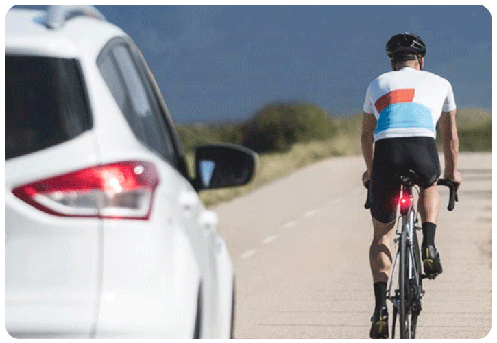 Garmin Varia RTL